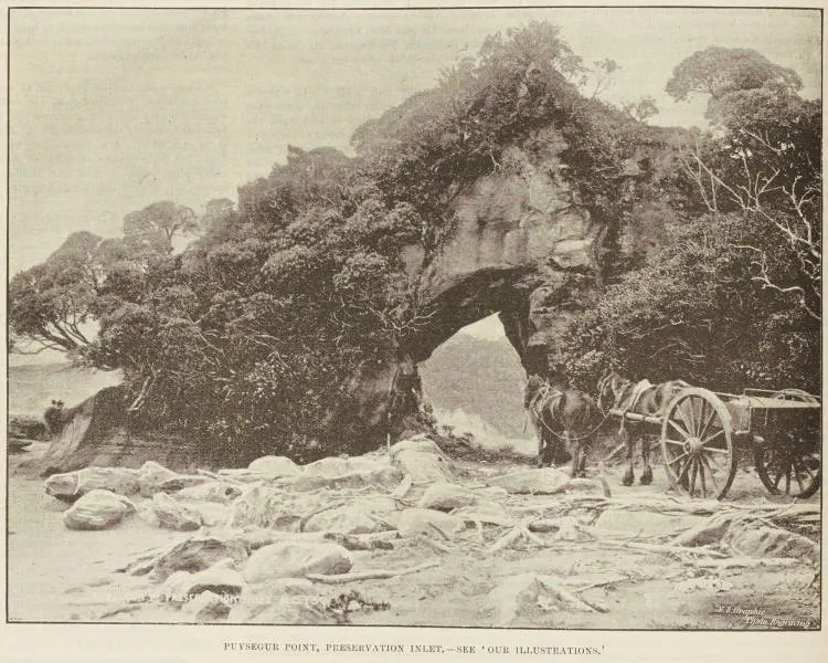 Puysegur Point, Preservation Inlet