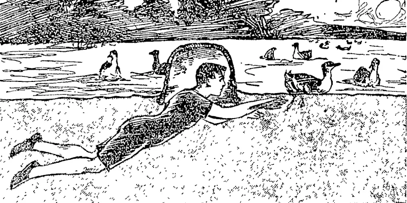 Untitled Illustration (Auckland Star, 17 December 1902)