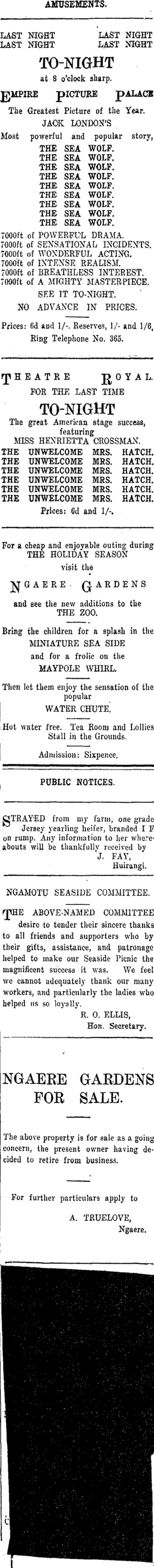 Image: Page 1 Advertisements Column 3 (Taranaki Daily News 5-1-1916)