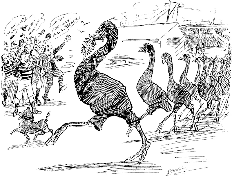 Moa • " All Black " you call us; don't insult the silver fern leaf as it's only one -per cent, alloy, and that got in by accident Pavis and Clatci jerseys are equally as f/ood. Direct your secretaires to apply for price list without delay ; it will pay you. (New Zealand Free Lance, 17 March 1906)