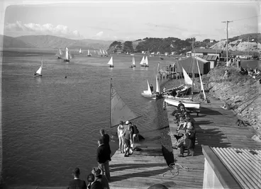 Image: Sail boats on Porirua harbour