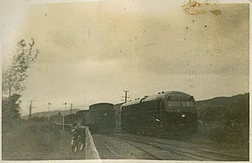 Image: Wairarapa-class railcar Rm-10 'Arawa'; crossing southbound train at Silverstream.