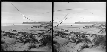 Image: Coastal scene including man with camera and dog, with dunes in the foreground and a distant ship offshore
