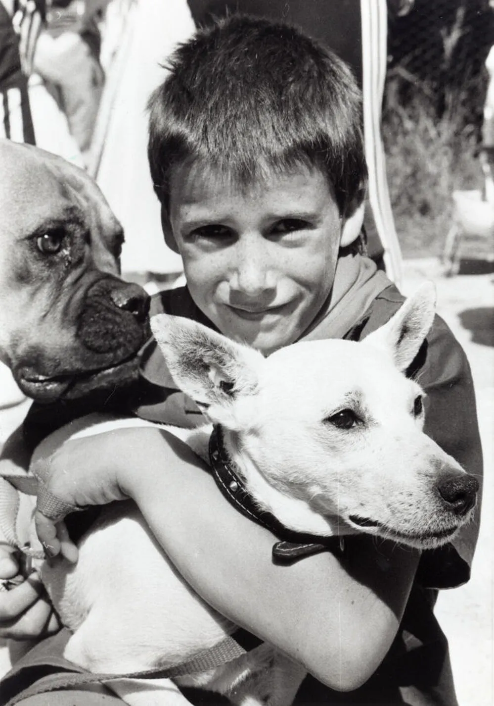 Blue Mountains Progressive Association fair; Robert Alexander, fox terrier Banjo; dog most like its owner prize.