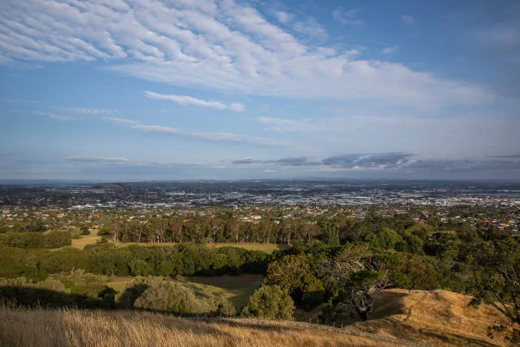 View from Maungakiekie One Tree Hill looking south east, 2020