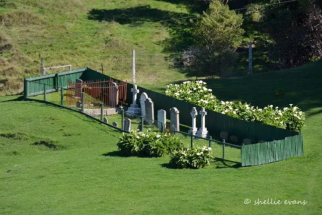 Kakapo Bay, Port Underwood, Marlborough