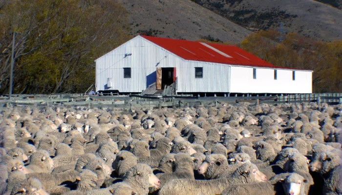 Farming (New Zealand)