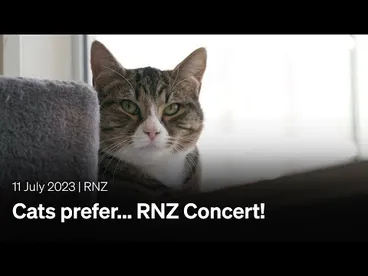 Image: Cats prefer... RNZ Concert! | 11 July 2023 | RNZ