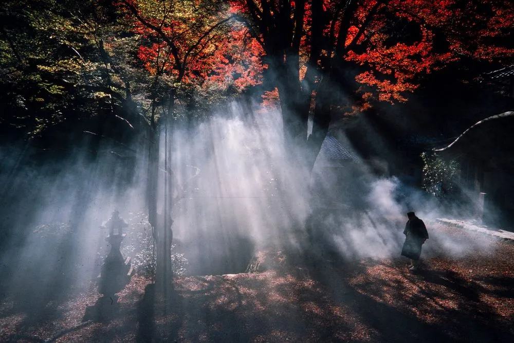 Japan Series: Buddhist Temple