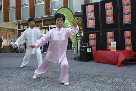 Performances at Chinese New Year, 2014.