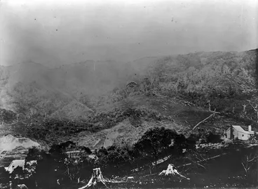 Image: Landscape at Ngaio, Wellington, looking towards the railway cutting