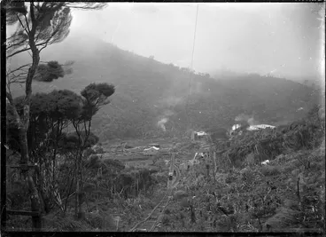 Image: Timber settlement, Piha, view from the Piha Tramway.