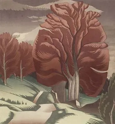 Beeches in Glen Lyon