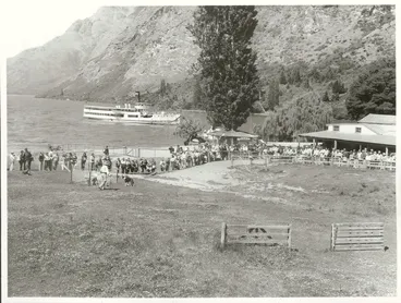 Image: Agriculture - Sheep - Stations