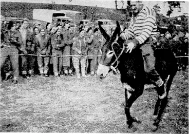 Image: A winner romps home in one of-the events during the Donkey Derby held at San Sevarino,. in Italy by D Squadron, Cavalry Battalion, of the 2nd N.Z.E.F, (Evening Post, 10 February 1945)
