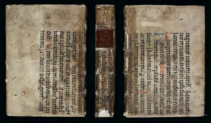 D. Andreae Alciati ivrecons. clarissimi De verborvm significatione libri qvatvor : eiusdem In tractatum eius argumenti ueterum iureconsultor[um] commentaria.