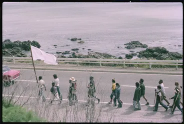 Image: Hīkoi walking along Centennial Highway, Kapiti