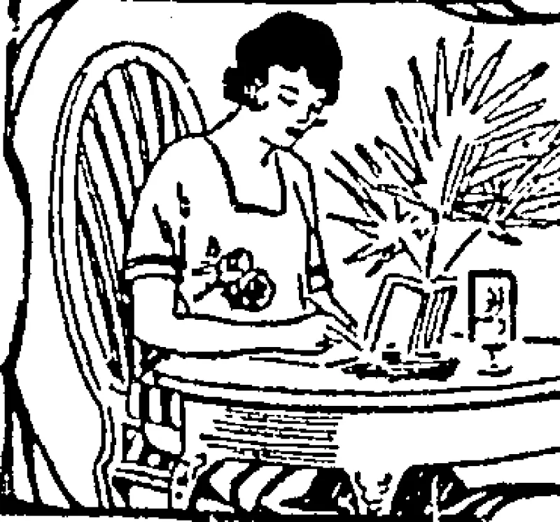 Untitled Illustration (Evening Post, 17 December 1928)
