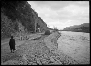 Image: By the Hutt River, Wellington, in the Taita Gorge area