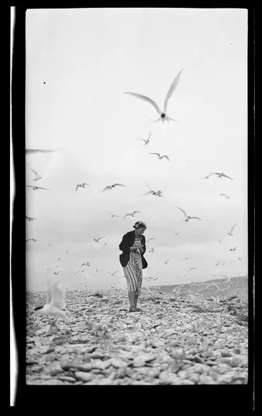 Image: Woman walking among white fronted terns at Waitaki, Otago