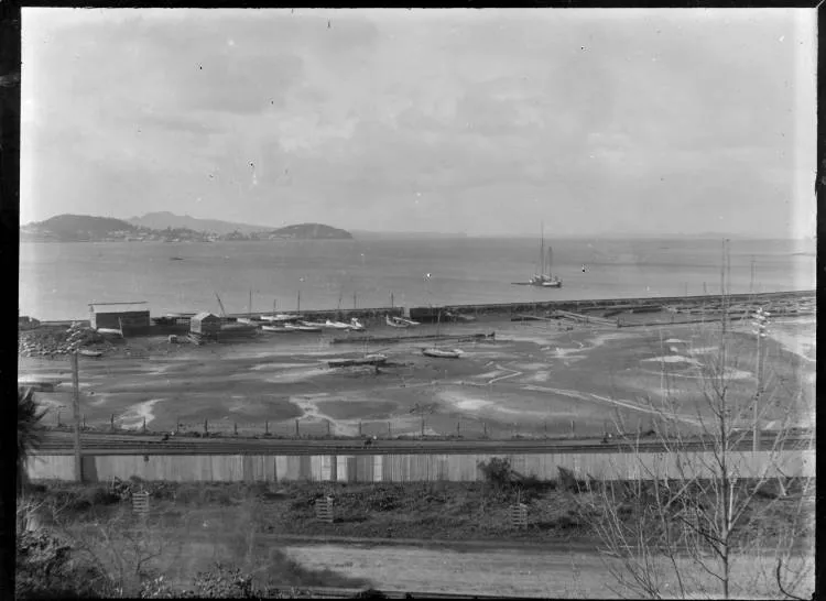Mechanics Bay and the Waitematā Harbour