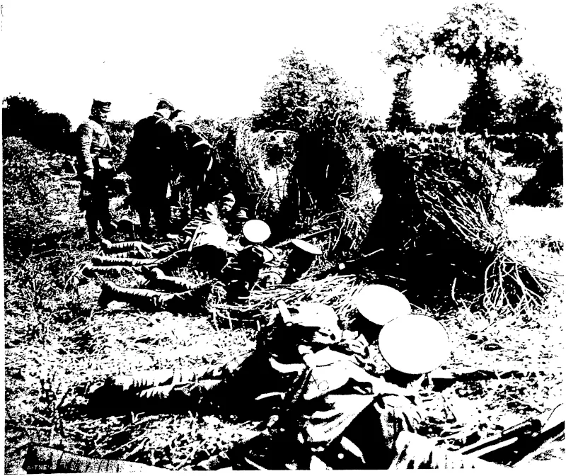 THE ENGLISH AUTUMN MANOEUVRES: EXPERTS FROM PORT ARTHUR  Tho interesting feature of the English autumn manoeuvres was the presence of the Russian attaches shown in our photograph interesting *®»ll*ro_"* v£° *i,edefence of Port Arthur, and were much interested m the manner in which the lessons learnt frnST «,« C Japanese war were be in* applied in the English army. The photograph was taken a moment before a defence waTordeVed, the troops in the meantime taking cover behind stacks _of_rye. (Otago Witness, 20 November 1907)