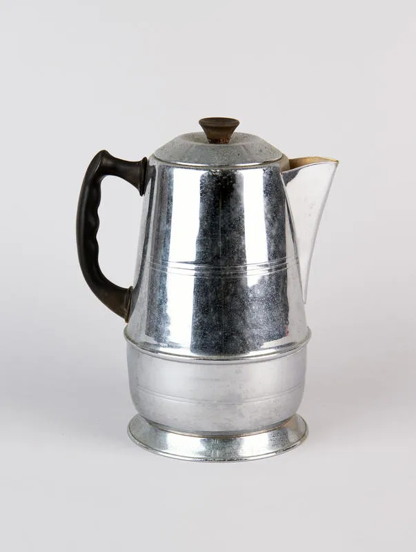 Electric Jug Staychrome