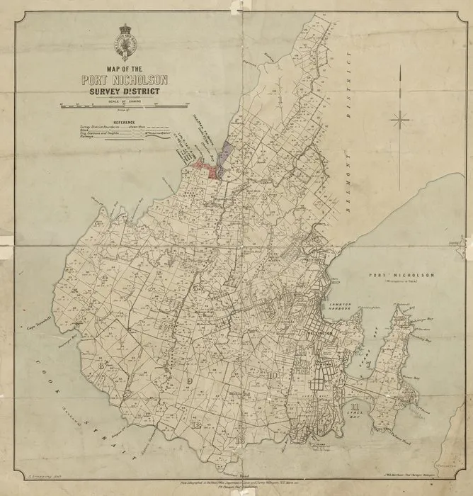 Map of the Port Nicholson Survey District [electronic resource] / H. Armstrong, delt.
