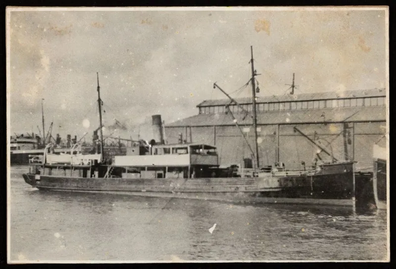 The S.S. 'Cygnet' in Wellington Port.