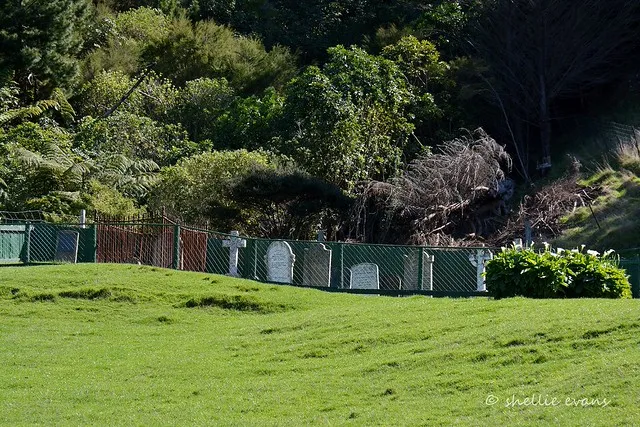 Kakapo Bay, Port Underwood, Marlborough
