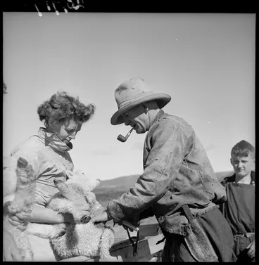 Image: Docking a lamb at Mangaorapa