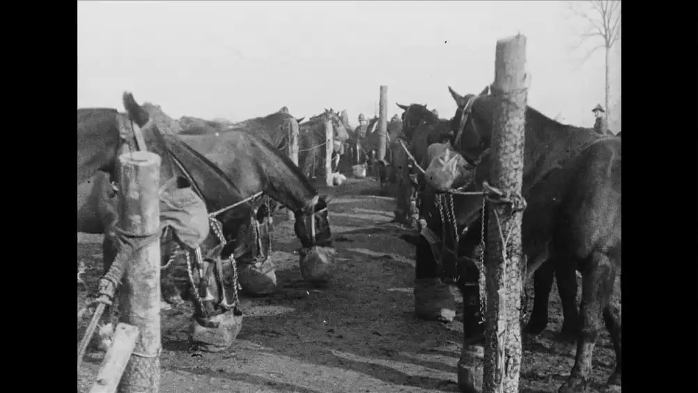 THE NEW ZEALAND FIELD ARTILLERY IN FRANCE. NEW ZEALAND RIFLE BRIGADE ON THE MARCH