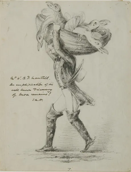 Mr W.B.D. Mantell. An amplification of his well known discovery of Moa remains.