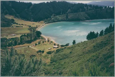 Image: Port Underwood