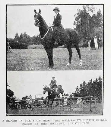 Image: A record in the show ring: the well-known hunter Gaiety, owned by Miss McCarthy, Christchurch