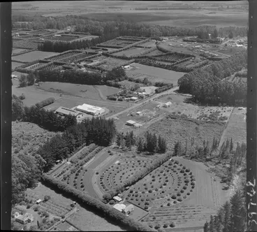 Image: Kerikeri, Bay of Islands, includes orchards, farmland, housing, roads and bush