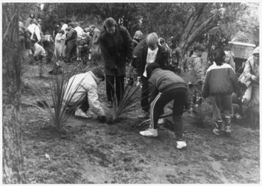Native Tree planting at Awatea Park Image: Native Tree planting at Awatea Park