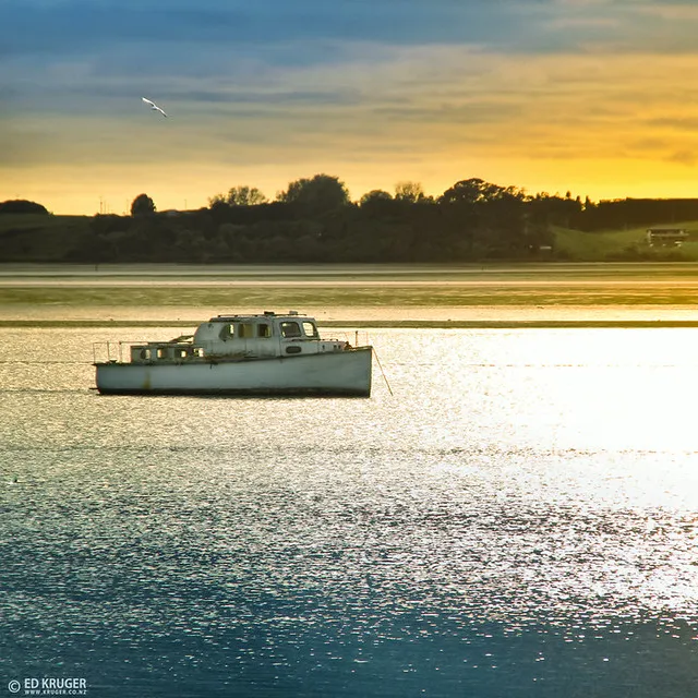 New Zealand Sunrise in Tauranga