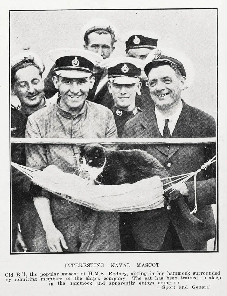 Interesting naval mascot