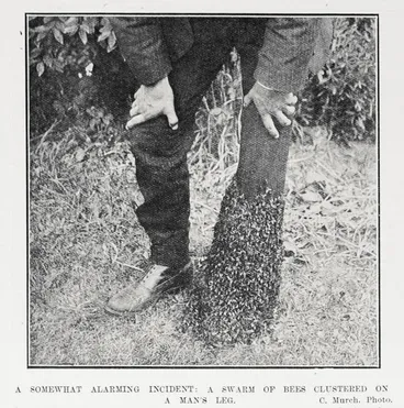 Image: A Somewhat Alarming Incident