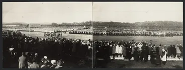 Image: Children's reception, Dunedin, during the visit of The Prince of Wales - Photographs taken by Guy