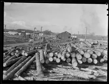 Tokoroa Timber Industry, 1952 Image: Tokoroa Timber Industry, 1952