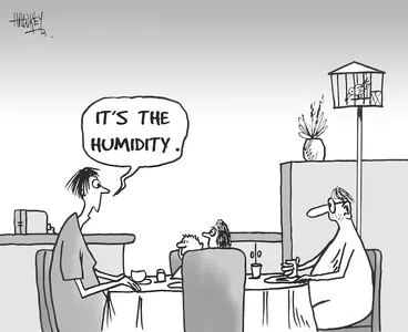 Image: "It's the humidity." 16 January, 2007
