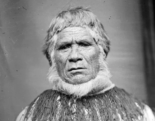 Biographies: Te Hāpuku