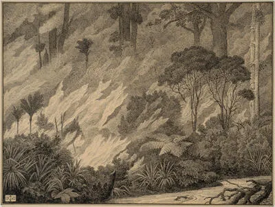 Clearing the bush with fire