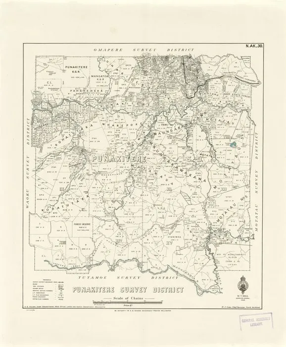 Punakitere Survey District [electronic resource] / Wm. Bardsley, delt.