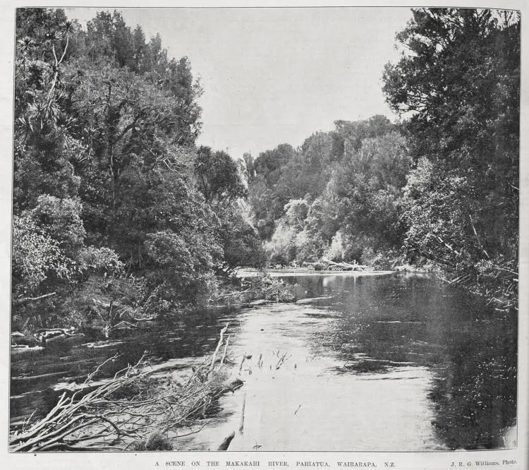 Makakahi river, Pahiatua, Wairarapa