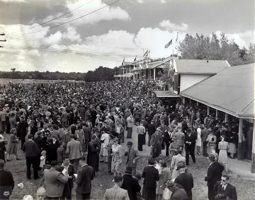 View of Tauherenikau Grandstand and enclosure : photograph
