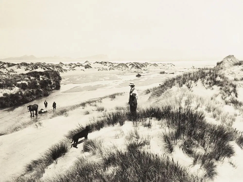 Duck Creek, Mason Bay