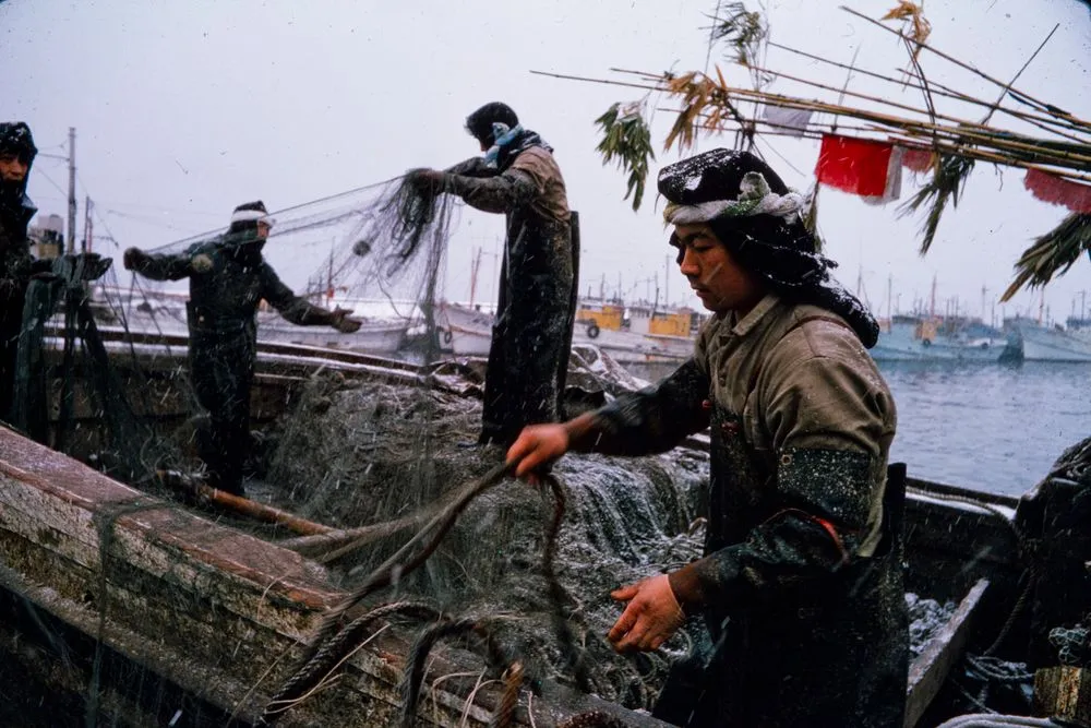 Japan Series: Furubira